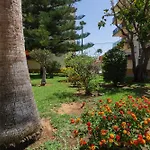 El De Adela دينايا