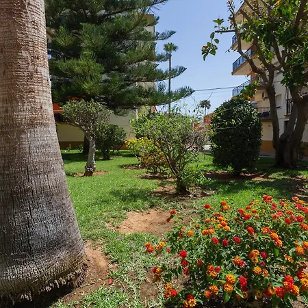 El De Adela Denia
